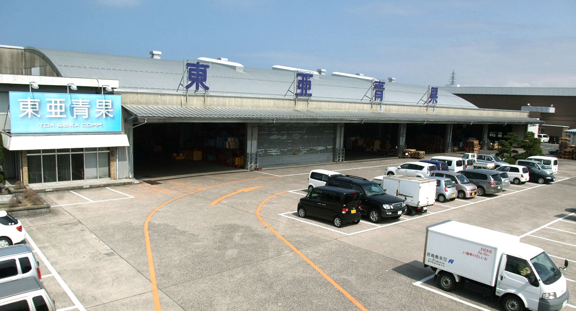 東亜青果株式会社